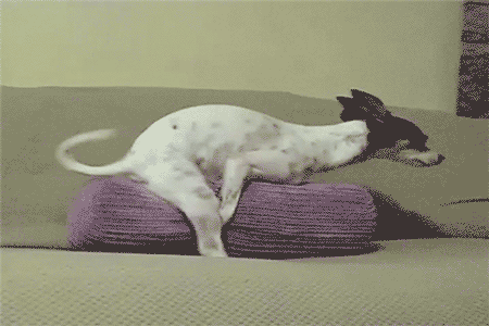 tumblr_m74zitbR0x1r91bgy.gif