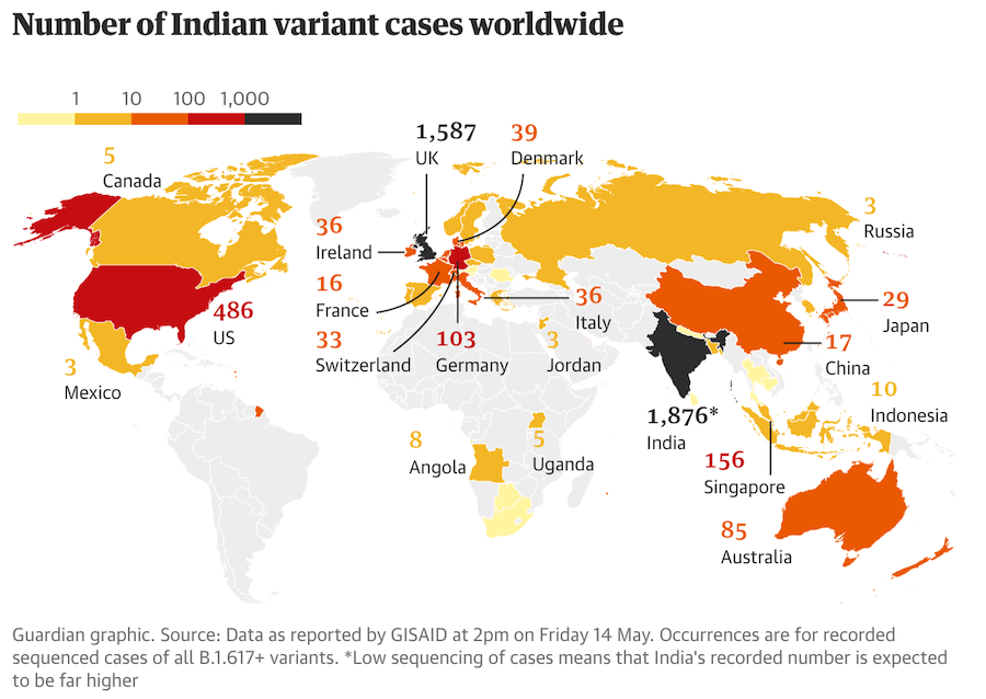 indian-variant.png