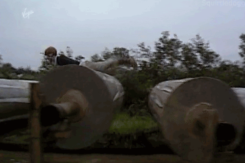 tumblr_n2rcw3Fdlp1s2p7wxo1_500.gif