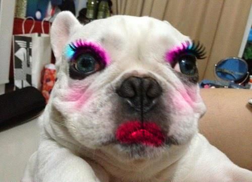 c78cc5022427cddc1ff207882fb74865--fake-lashes-long-lashes.jpg