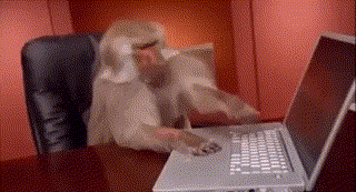 tHPoLD.gif