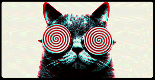 tumblr_loe81lyqcm1qbxi45o1_500.gif