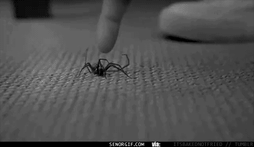 f45125c9dfec260f376b2f71448029aa.jpg