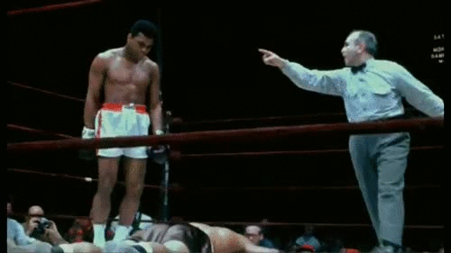 tumblr_nmmusxv4n51qgqw54o1_500.gif