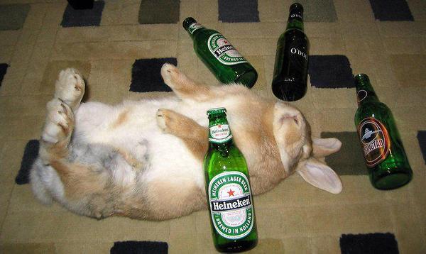 easter1.jpg