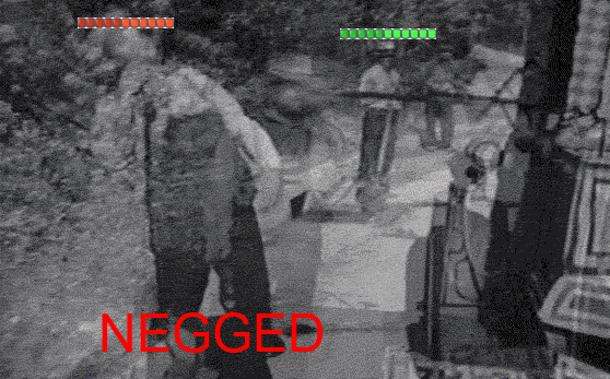 Negged2.gif