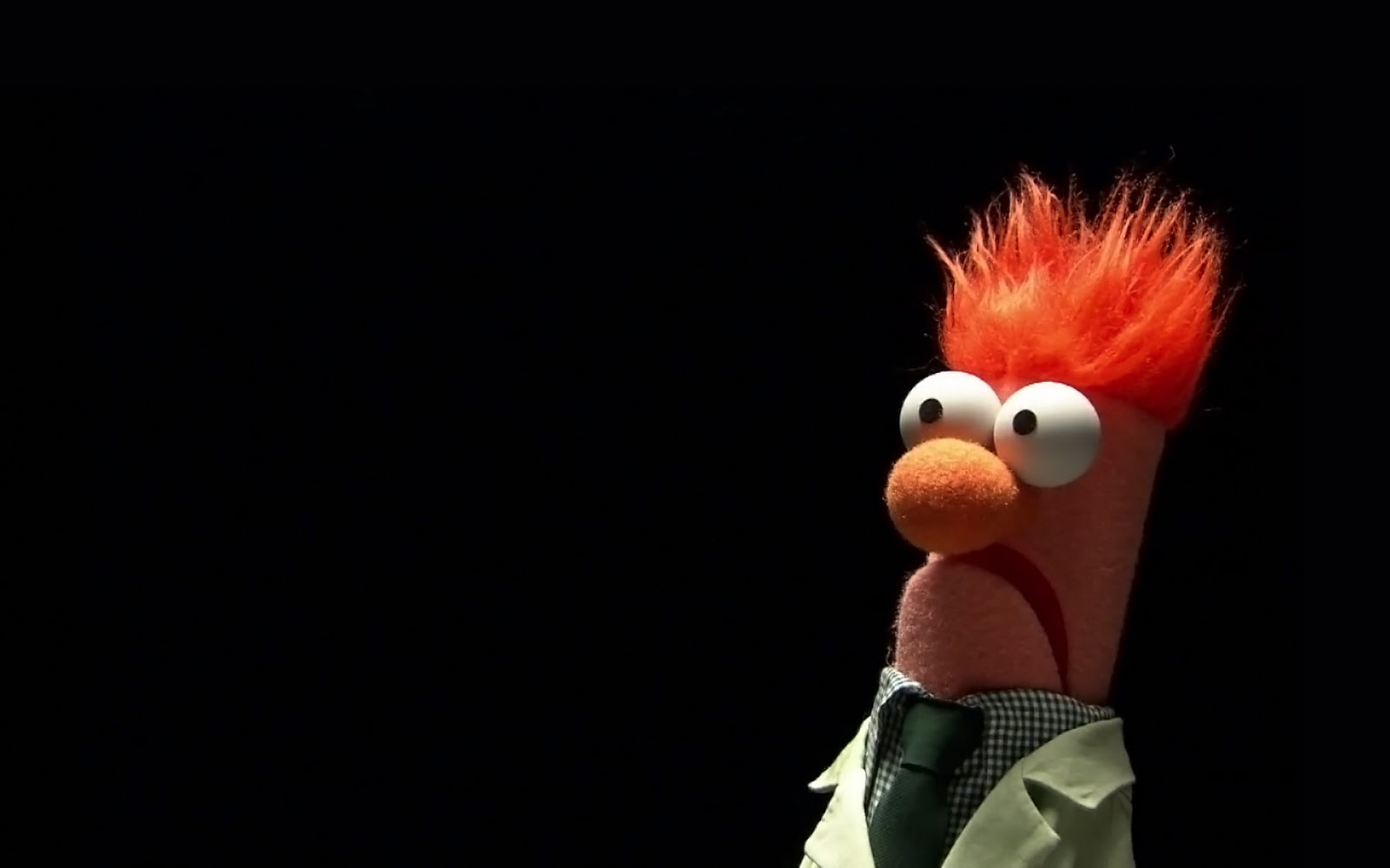 BEAKER.jpg