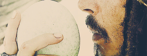 tumblr_m71wpmX3V41raei82o1_500.gif