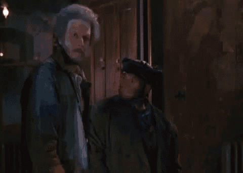 home-alone-never.gif
