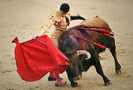article-0-0A99CB68000005DC-622_468x317.jpg