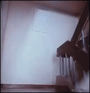 fight-me.gif
