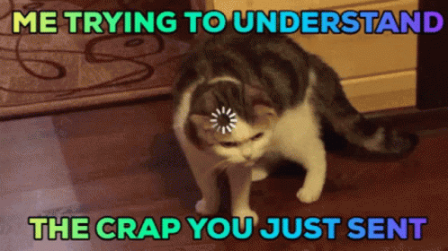 me-trying-to-understand-the-crap-you-just-sent-crying-hard.gif