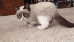 tumblr_mhevqvYxhE1r3gb3zo1_400.gif