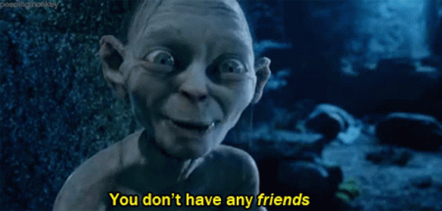 you-dont-have-any-friends-the-lord-of-the-rings.gif