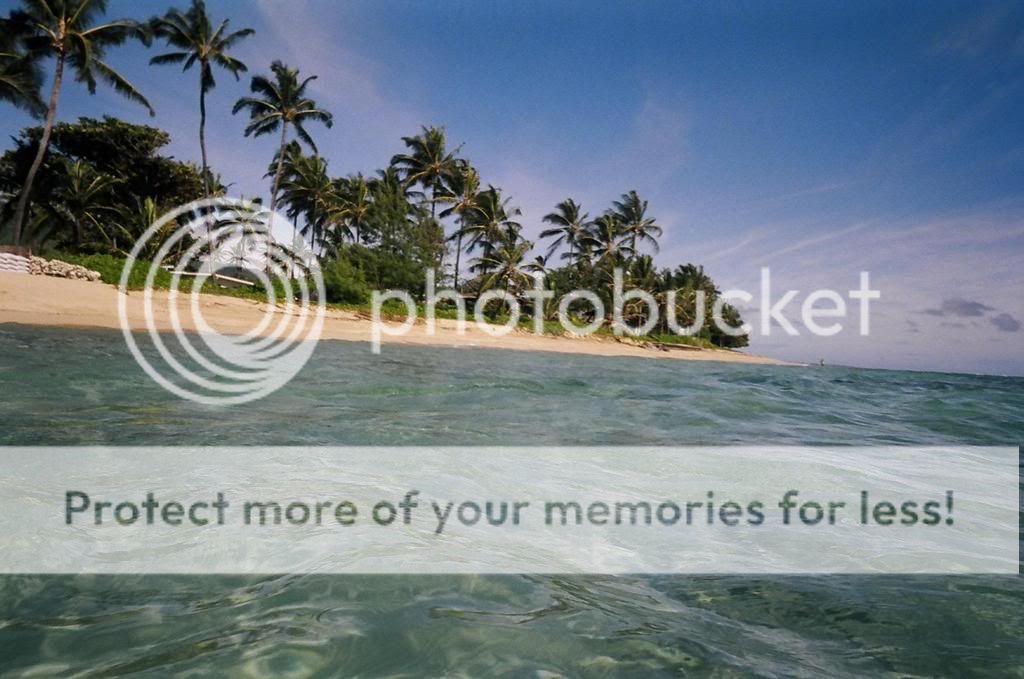 oceanview.jpg