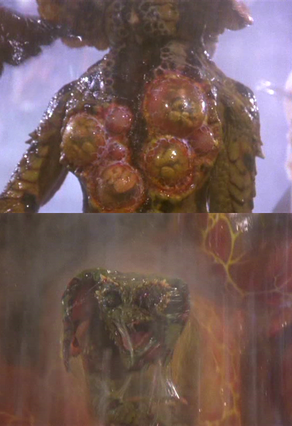 Gremlin_birth.PNG
