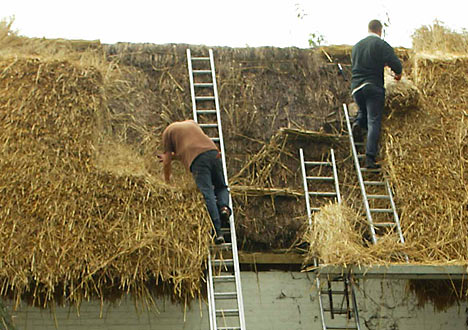 thatchedroof.jpg