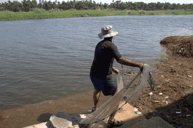 CastNet.gif