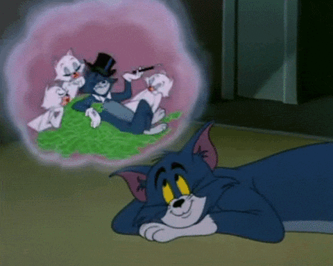 rich-dream-tom-and-jerry.gif