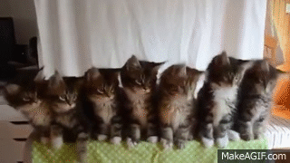 bgqr1x.gif