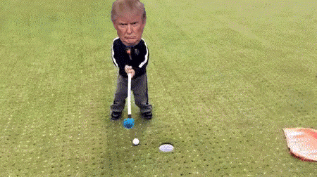 8wWK.gif