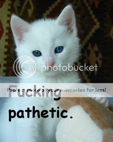 pathetic.jpg