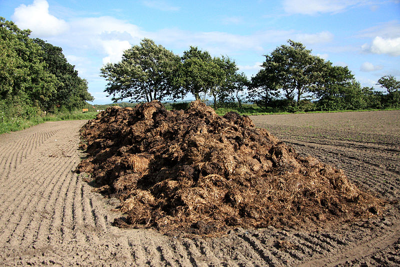 800px-Pile_of_manure_on_a_field.jpg