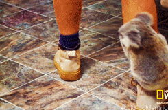 tumblr_m2m4oewTFv1r982mk.gif