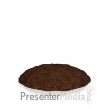 plant_grow_md_wm.gif