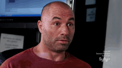 tumblr_mrxah3oV6N1sgr493o1_500.gif