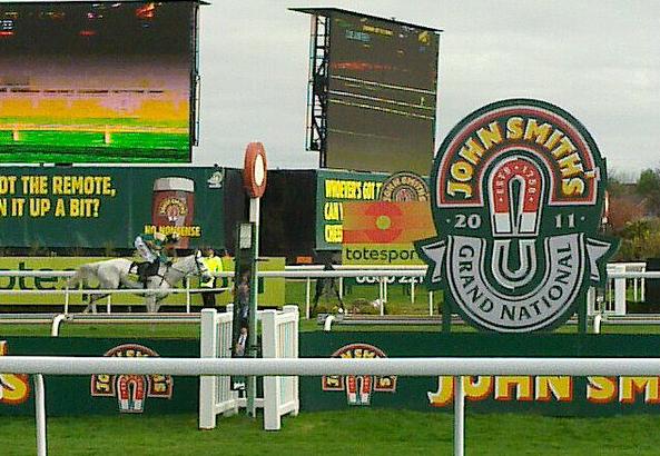 2011_Grand_National_cropped.jpg