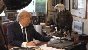 trmp2.gif
