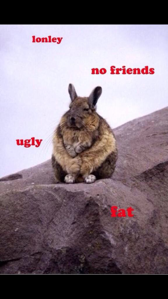 S3XD4sq.png