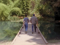tumblr_lp2pb0Ivu81qdeq5f.gif