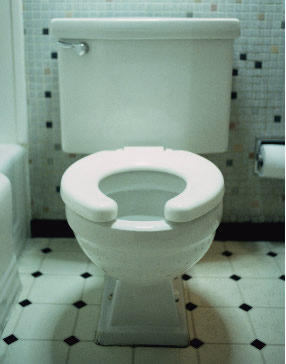 the_loo.jpg