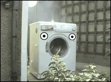 tumblr_mqzlmmITYv1qdlh1io1_400.gif