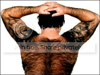 hairy_back.jpg