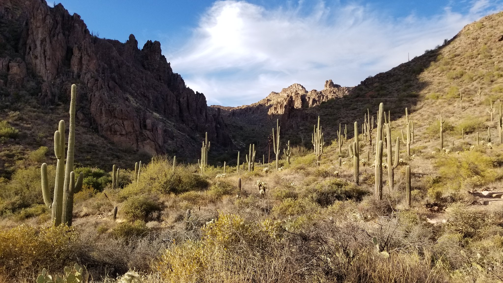 50886786468_b7c9604146_k.jpg