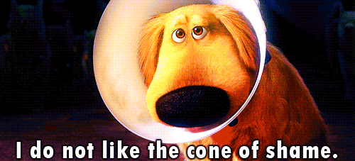 tumblr_ml1y1wSQxd1qg7dd3o1_500.gif