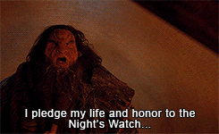 tumblr_n6yhi9FFqQ1rnmqleo8_250.gif