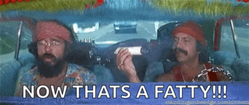 cheech-and-chong-gif-file-1121kb-nmzy797irpbcwqil.gif