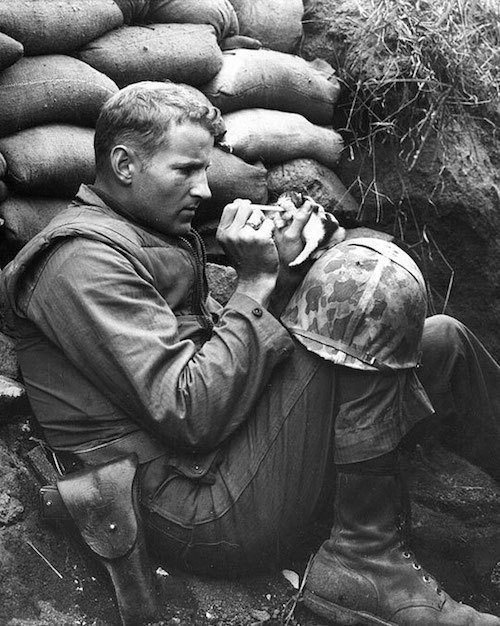 soldier-and-kitten.jpg