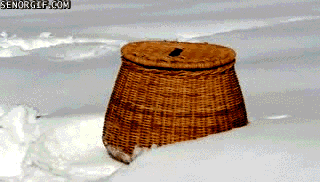 23.gif