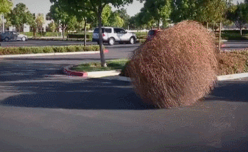 va53z1W.gif