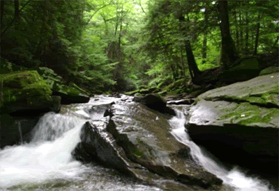 FlowingStream_zps09b809ae.gif