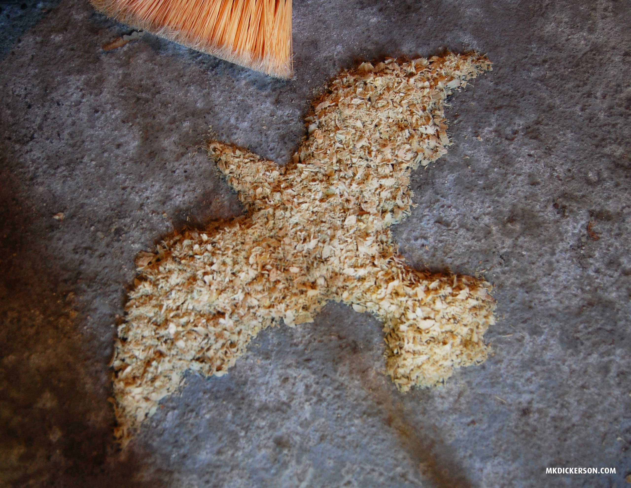 sawdust-bird.jpg