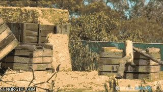 giphy.gif