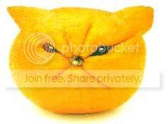 sour-face-lemon.jpg