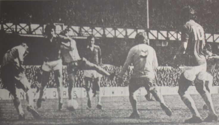 a15376f9aef7e737ec8f2a74e530b24e--everton-homes.jpg