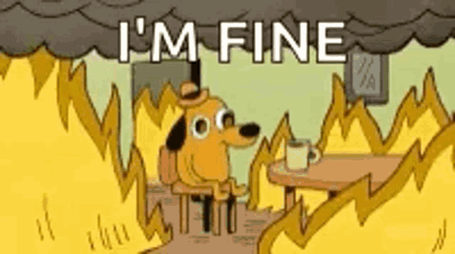fine-this-is-fine.gif